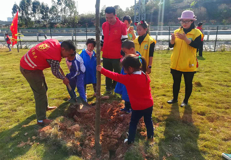mk体育志愿者在植树中