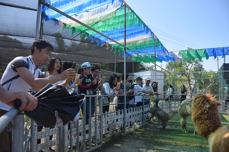 mk体育园区党委举办了以“不忘初心·牢记使命”为主题的主题党日活动